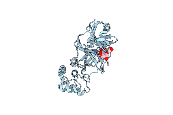 7DPP image