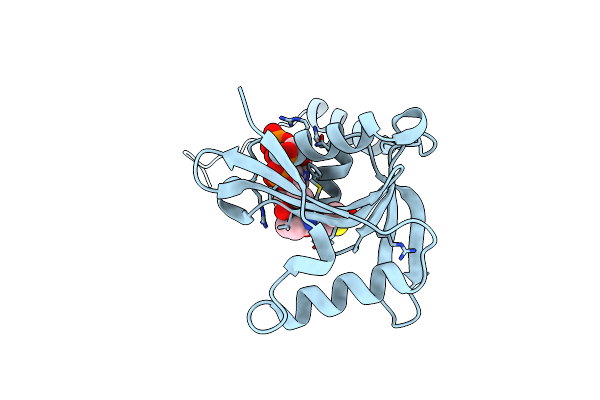 7DQG image