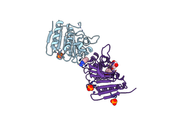 7DQM image