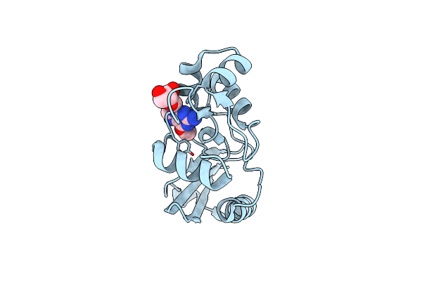 7DQQ image