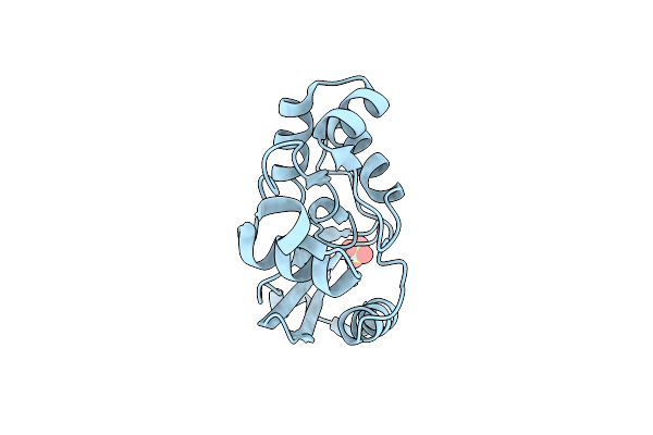 7DQT image