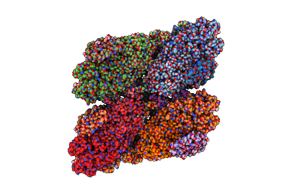 7DR2 image