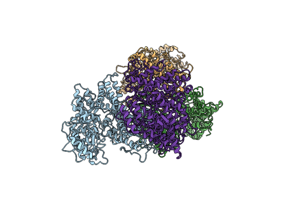 7DRR image