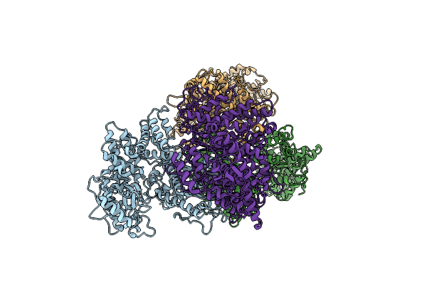 7DRS image