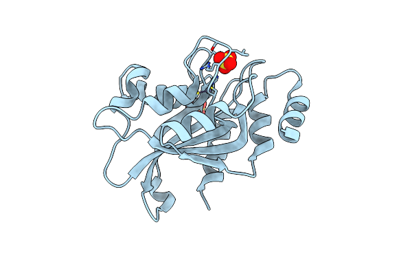 7DRY image
