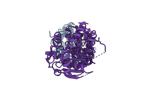 7DSM image