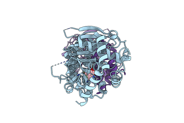 7DSO image