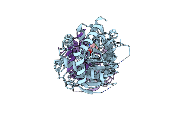 7DSR image