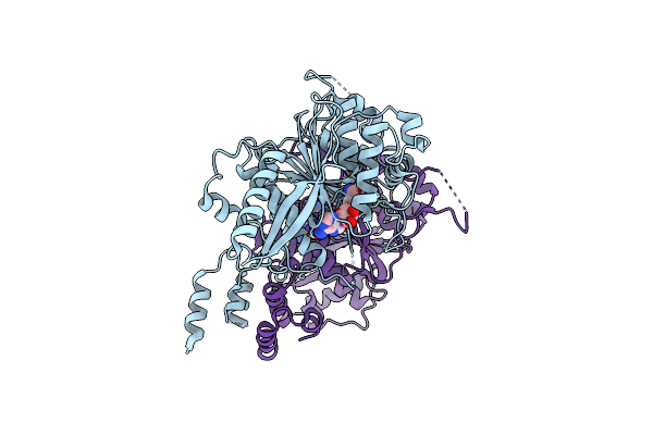 7DSU image