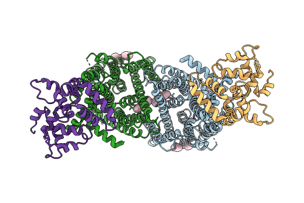7DSV image