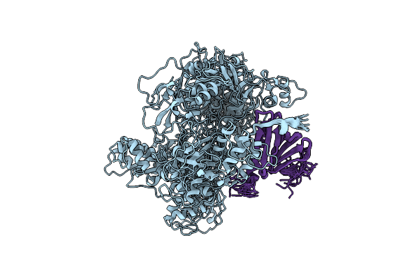 7DTI image
