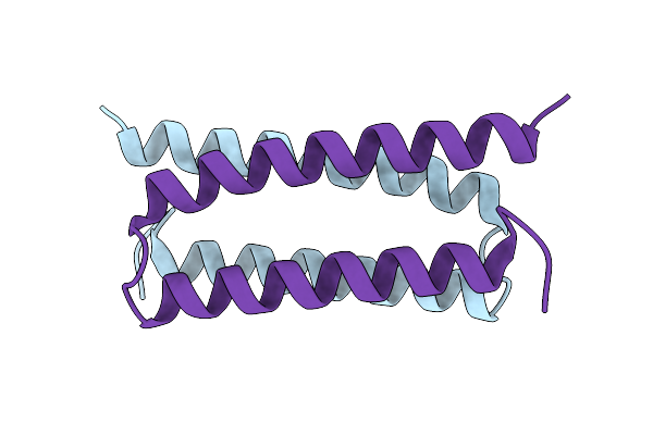 7DTL image