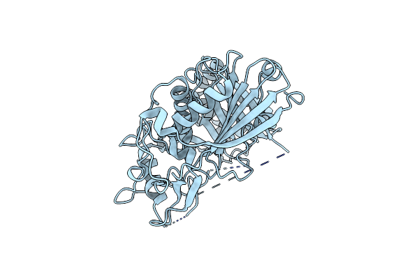 7DTP image