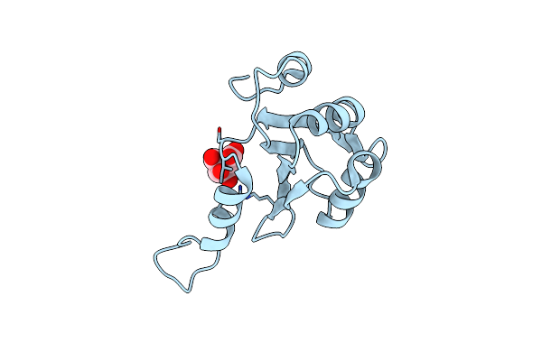 7DUS image