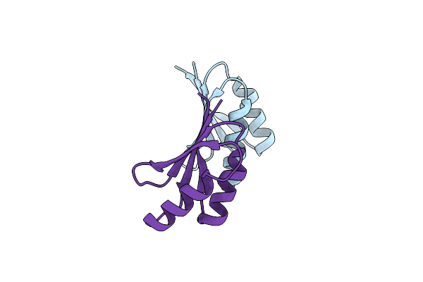 7DVG image