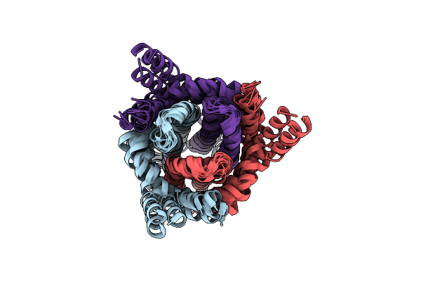 7DVM image
