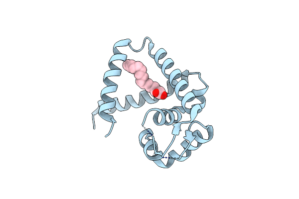 7DVN image