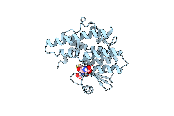 7DW4 image
