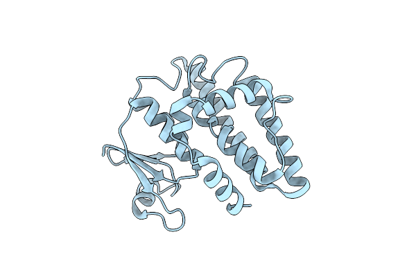 7DWD image
