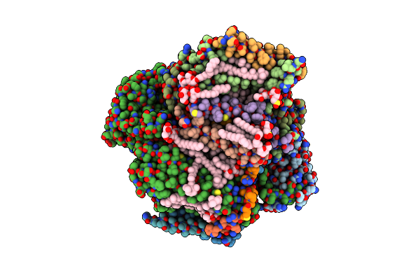 7DXA image
