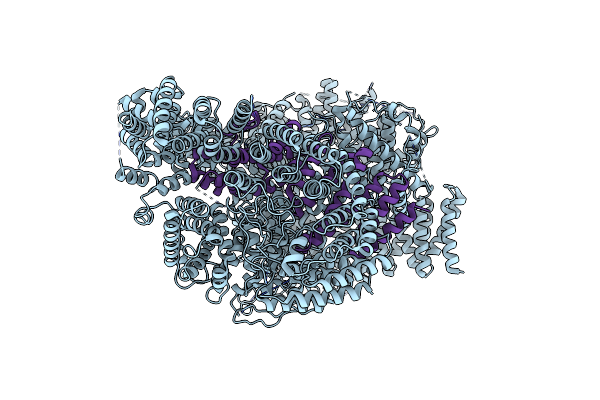 7DXJ image