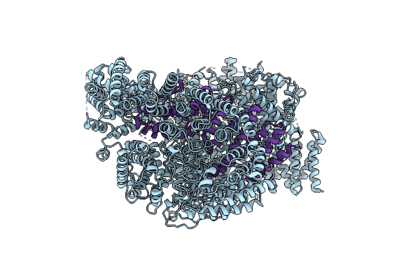 7DXK image