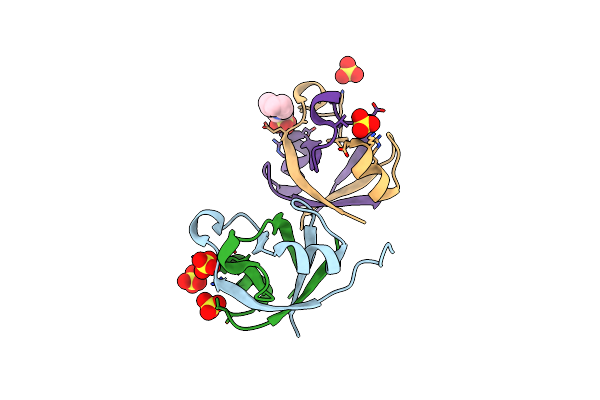 7DXR image
