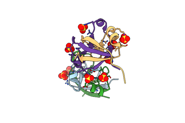 7DXS image