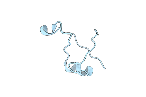 7DXT image