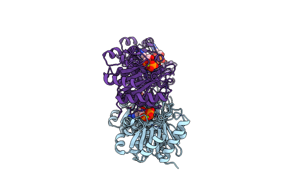 7DYE image
