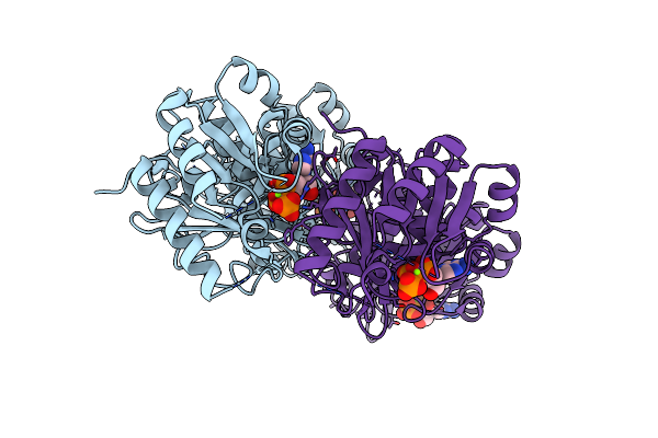 7DYI image