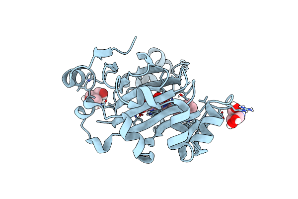 7DYU image