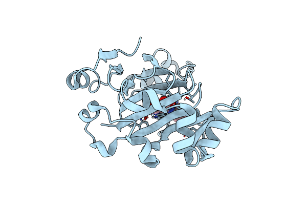 7DYV image