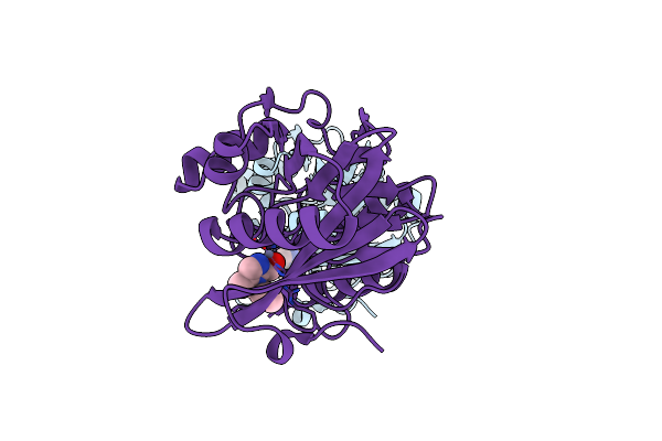 7DZ0 image