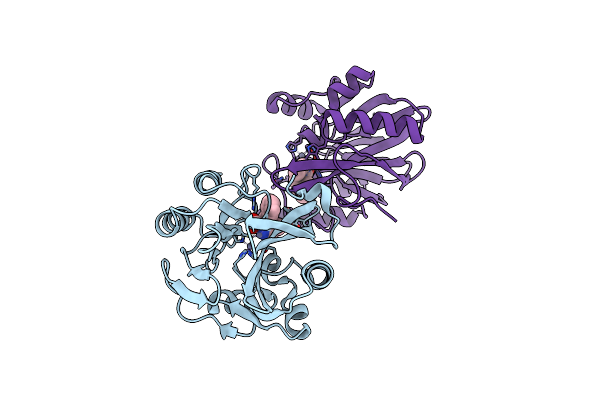 7DZ1 image