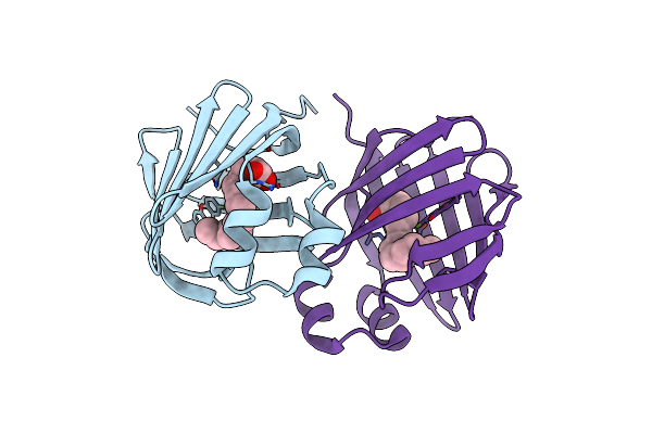 7DZI image