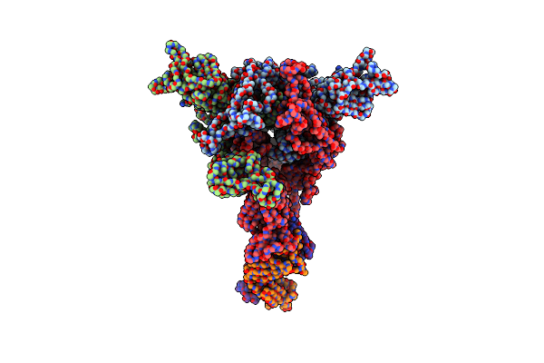 7DZX image