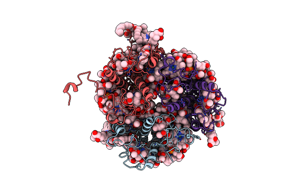 7E0K image