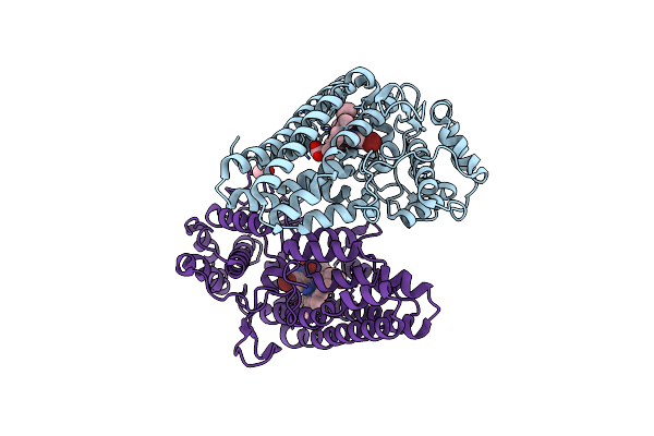 7E0S image