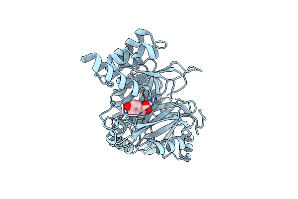 7E0X image