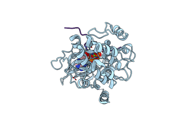 7E0Z image