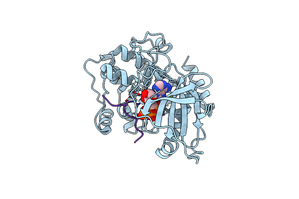 7E12 image