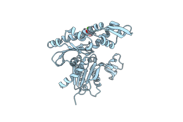 7E1C image