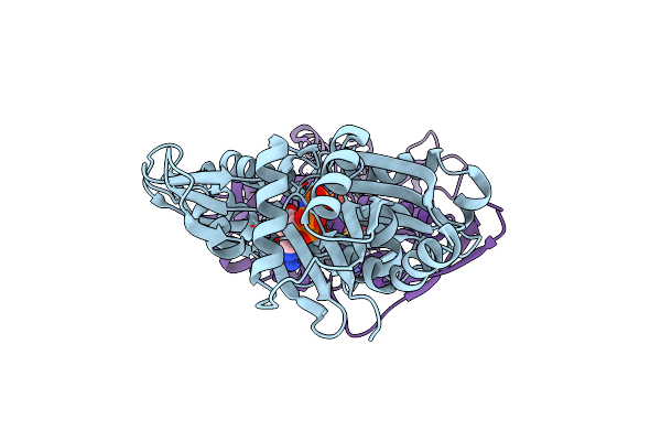 7E1G image
