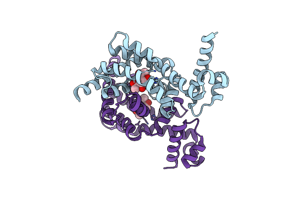 7E1N image