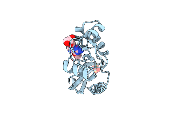 7E1P image