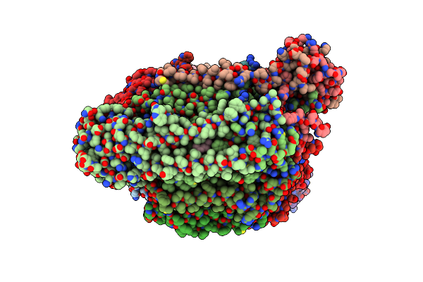 7E1X image