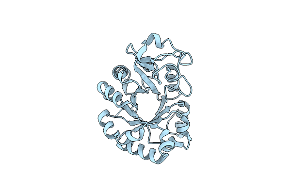 7E2A image
