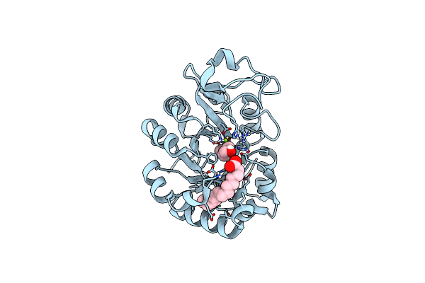 7E2B image