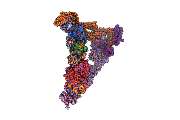 7E2D image